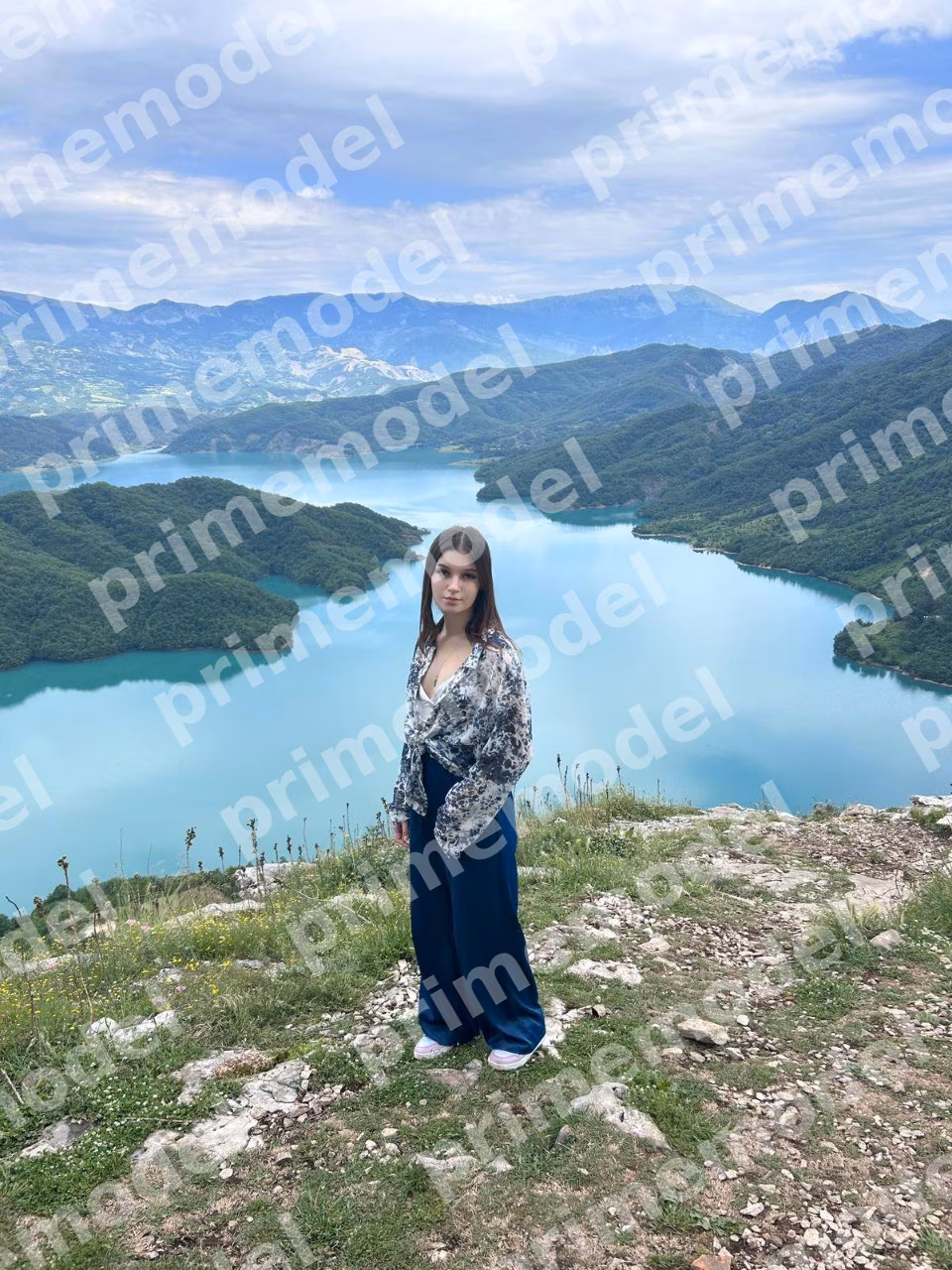 Дарси